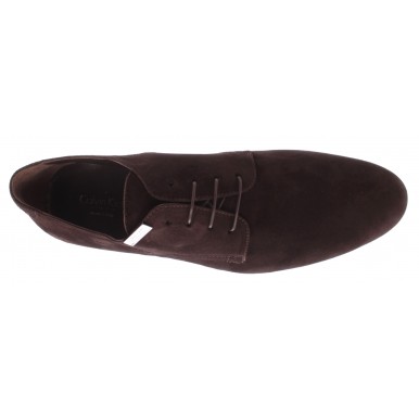 Chaussures Classique Homme CALVIN KLEIN Collection 1004 Camoscio Africa Chamois